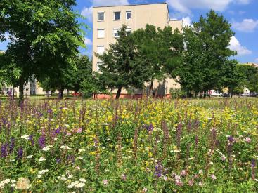 Urban living and natural beauty, highlighting the importance of green spaces within city environments.