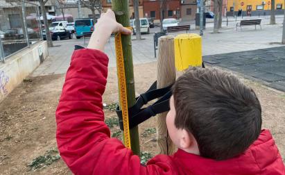 Co-Carbon Tree Measurement in Viladecans (ES)